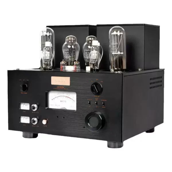 Line Magnetic LM-219IA Plus Integrated Amplifier - Image 4